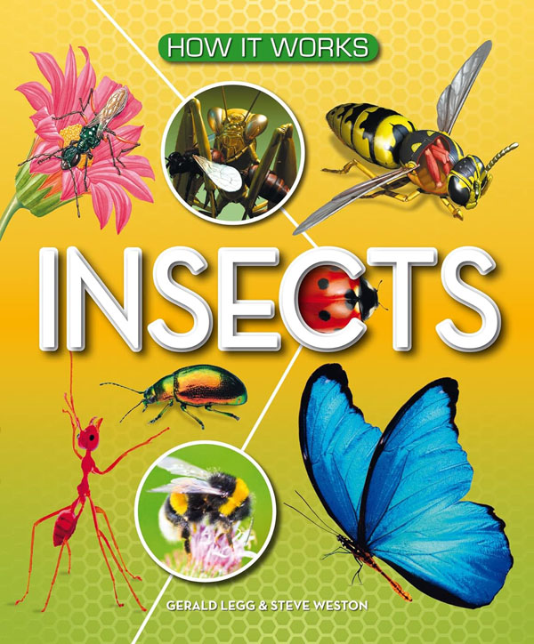 Cover: How It Works: Insects