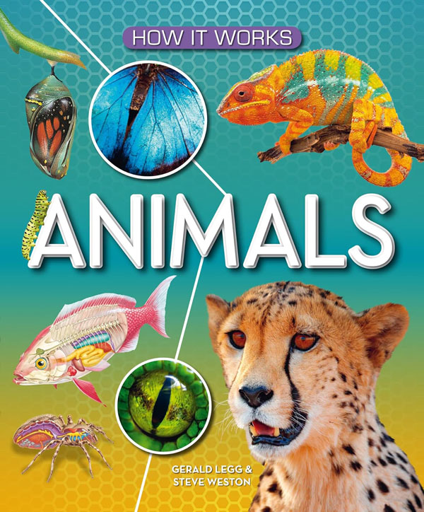 How It Works: Animals