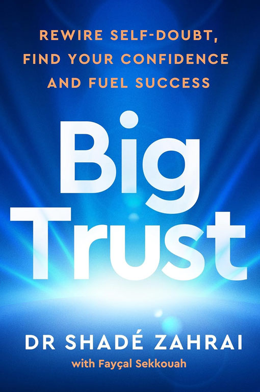 Cover: Big Trust