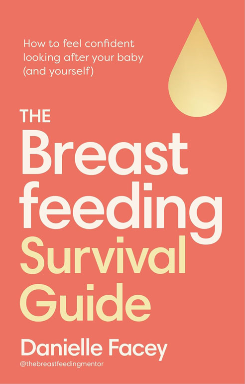 Cover: The Breastfeeding Survival Guide