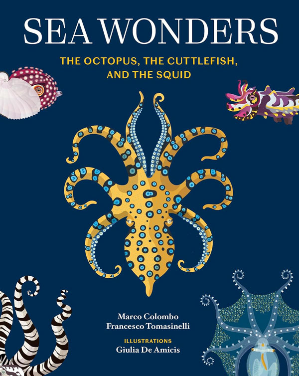 Cover: Sea Wonders: The Octopus, the Cuttlefish, and the Squid