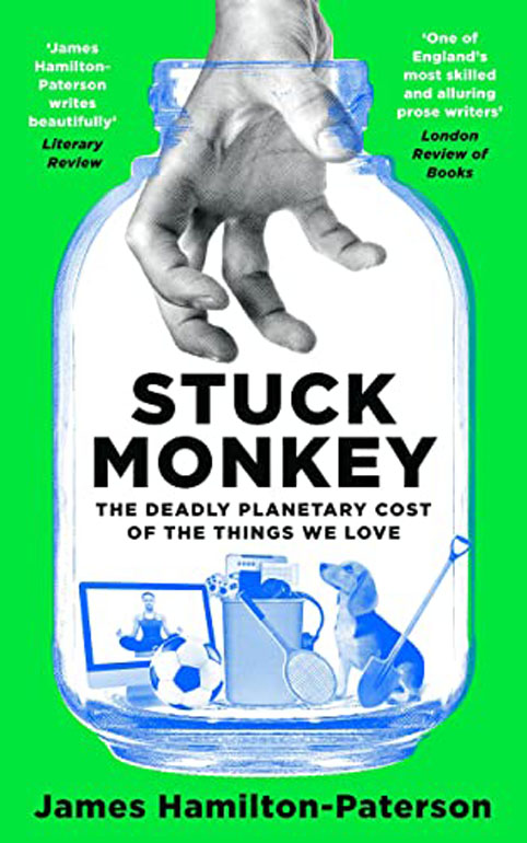 Cover: Stuck Monkey