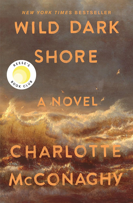 Cover: Wild Dark Shore