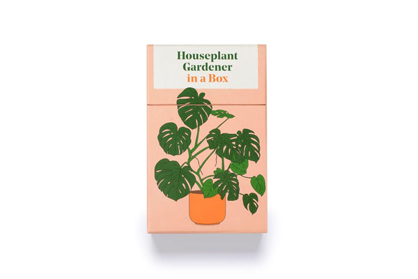 Houseplant Gardener in a Box