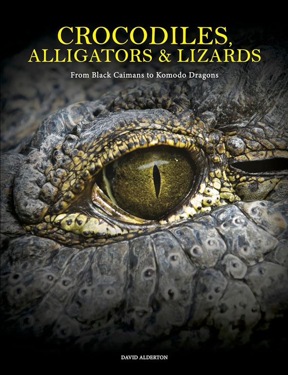 Cover: Crocodiles, Alligators & Lizards