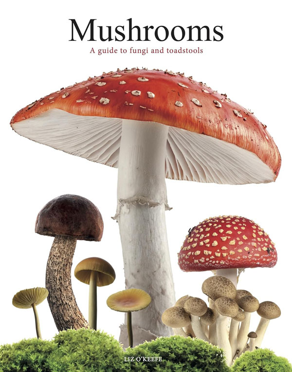 Cover: Mushrooms: A guide to fungi and toadstools