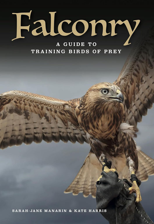 Cover: Falconry: A guide to training birds of prey