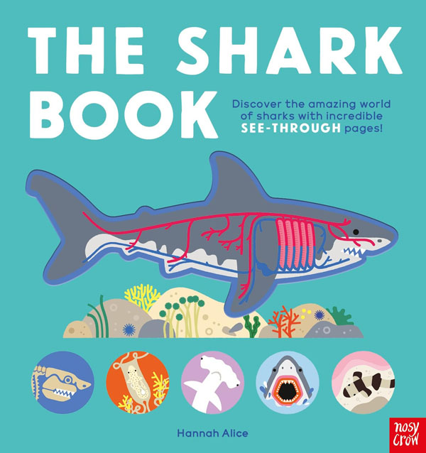 The Shark Book (Hannah Alice series)