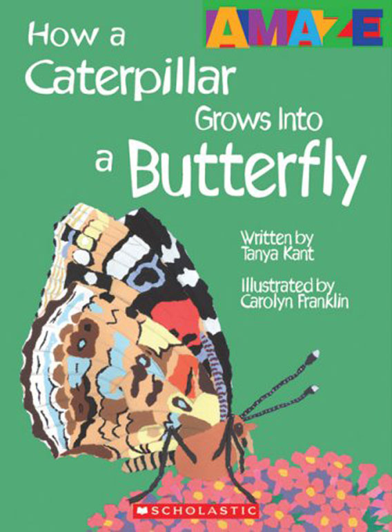 Cover: Caterpillar To Butterfly
