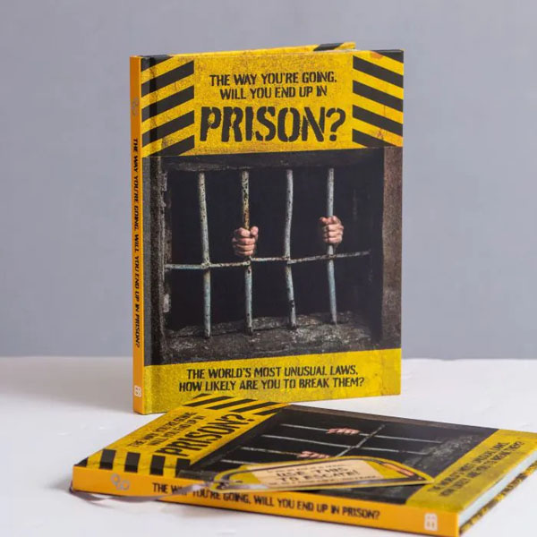 Cover: The Way You're Going, Will You End Up In Prison
