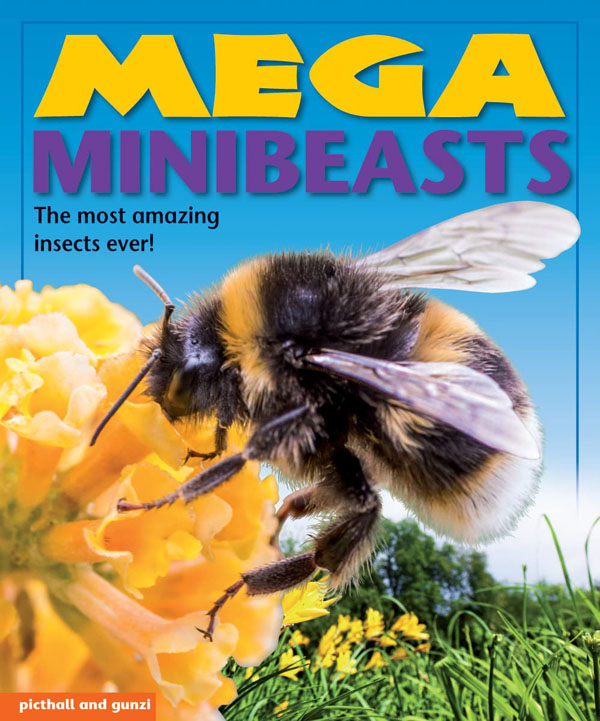Cover: Mega Books: Minibeasts
