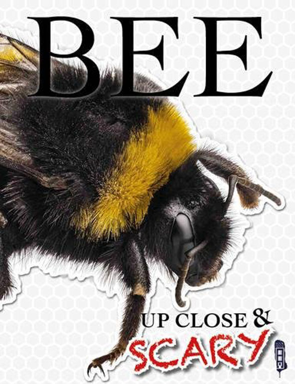 Up Close & Scary Bee