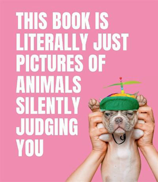 This Book is Literally Just Pictures of Animals Silently Judging You