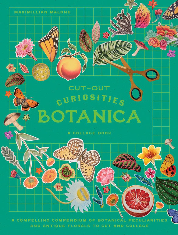Cover: Cut-out Curiosities: Botanica